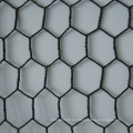 Malla de alambre hexagonal del PVC / alambre de pollo para animales